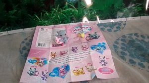 Обзор на милых зверюшек Маджики-Любимые котята часть 1