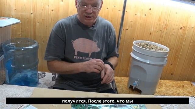 Урожай на подоконнике: огурцы зимой шаг за шагом