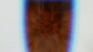 Чай ферментированный "Дикая яблоня"