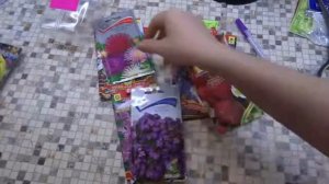 Какие семена цветов нужно стратифицировать