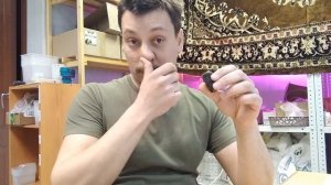 Не взошел дельфиниум.Как правильно посадить?