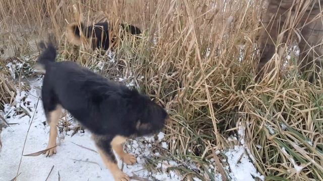 РУССКАЯ ДЕРЕВНЯ У РЕКИ ЗИМОЙ смотреть онлайн