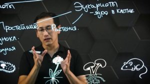 Общая характеристика царств живых организмов. 7 класс.