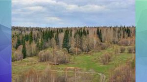 Залесовский муниципальный округ Алтайского края