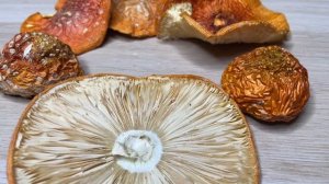 🍄 МЕШАЕМ МУХОМОР С АЛКОГОЛЕМ 🍄 КРАСНЫЙ ПАНТЕРНЫЙ МИ?