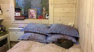 ДОМ в ДЕРЕВНЕ. ОБЗОР нашего ДОМА. С чего НАЧАТЬ