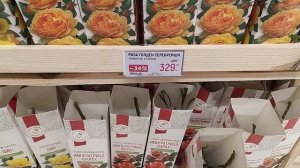 Саженцы роз в Глобусе. Русский огород