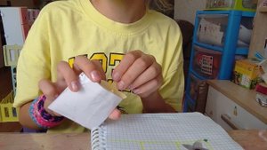 Гавайские 🌸🌺🌻🌹🌷🌼💐