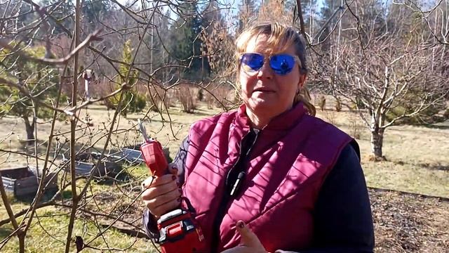 Секатор для почтенных дам  Аккумуляторный секатор WORTE