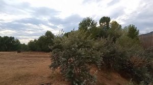 Впервые в Кисловодске чемпионат России по спорту сверхлёгкой авиации в дисциплине «слалом».часть-3.