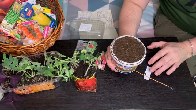 ЧЕРРИ И ПЕТУНИИ | ПОСЕВ БЕЗ ЗАМОРОЧЕК смотреть онлайн