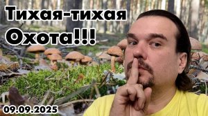 Тихая-тихая охота!!!