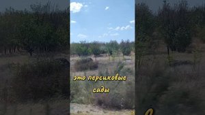 От моря в горы