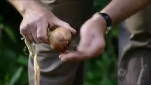 ВВС "ПРИЗРАК В ТВОИХ ГЕНАХ" - документальный фильм