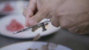 Гриб особой ценности - трюфель. Где он растет и как его