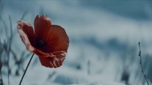 video_77 Я убит подо Ржевом