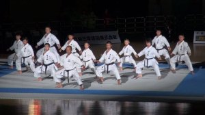 Чемпионат Мира в Японии (Токио) 2013