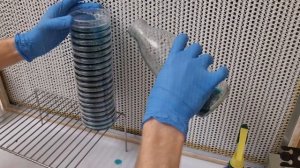 Агар в чашки Петри - ВЕСЬ ПРОЦЕСС ОТ И ДО ЗА 4 МИНУТЫ!