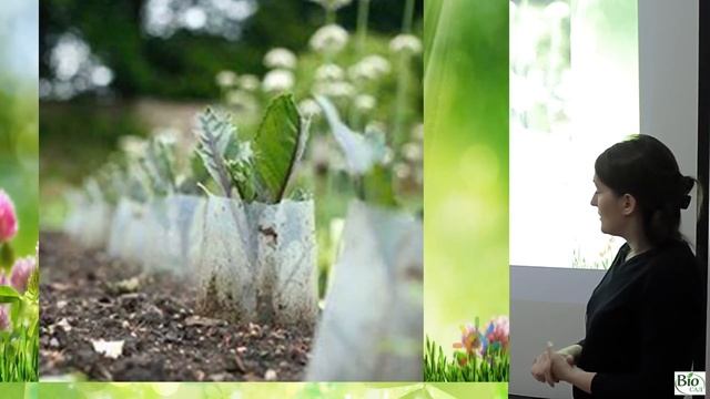 Выращивание капусты (семинар) смотреть онлайн