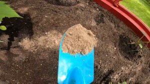 КАК ПОВЫСИТЬ УРОЖАЙ - ВСЕ ДЕЛО В КИСЛОТНОСТИ ПОЧВЫ!