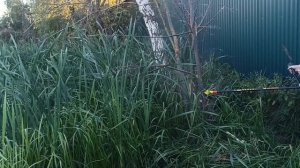 CG520 Большой Иван режет сухое дерево.