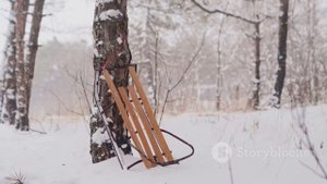 Куда пропадают улитки зимой? Где они зимуют и как выжи?