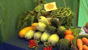 Жители Советского района похвастались своим урожаем