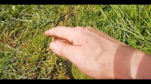 Как косить траву мотокосой и леской (для новичков)