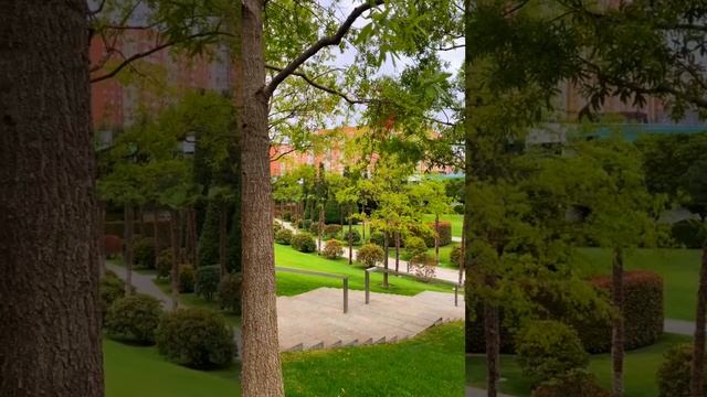 Парк в Краснодаре смотреть онлайн