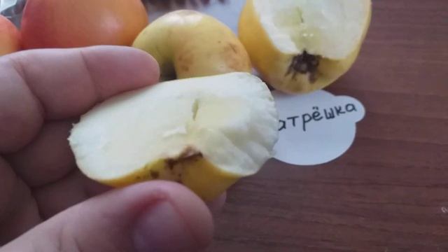 Предновогодняя дегустация яблок Матрёшка и Цвет Каро? смотреть онлайн