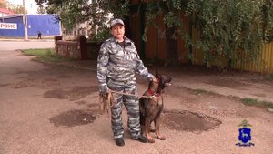 В Самаре служебная собака помогла полиции раскрыть кражу техники из центра психологической помощи