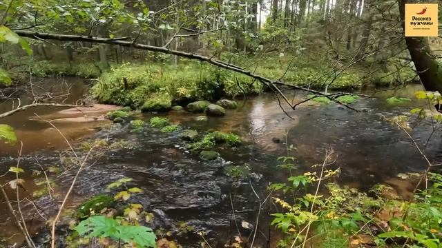 Рассказ мужчины | Измена жены. На даче с любовником. Же?