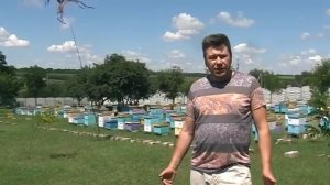 Как отпугнуть золотистую щурку или пчелоедку? Отпугив