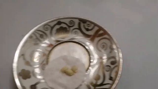 Как вырастить мандарин из семян в домашних условиях#sho смотреть онлайн