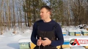 КОРОТКО О ВАЖНОМ. ПРИМЕНЕНИЕ ЩАВЕЛЕВОЙ КИСЛОТЫ   ПРАКТ