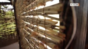 Мини-ирисы в ландшафтном дизайне. Как компоновать