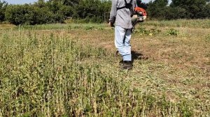 Покос травы триммером PATRIOT 555