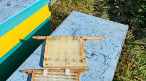 КОГДА ИЗОЛИРОВАТЬ МАТОК В ЗИМУ ??? ЧТО ПОКАЗЫВАЕТ РЕАЛЬ