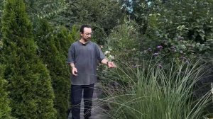 ОБЗОР САДА. АВГУСТ 2025