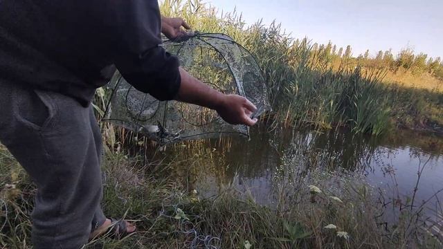 Хочу поймать рыбу, а ловятся раки! Садовый пруд на учас смотреть онлайн