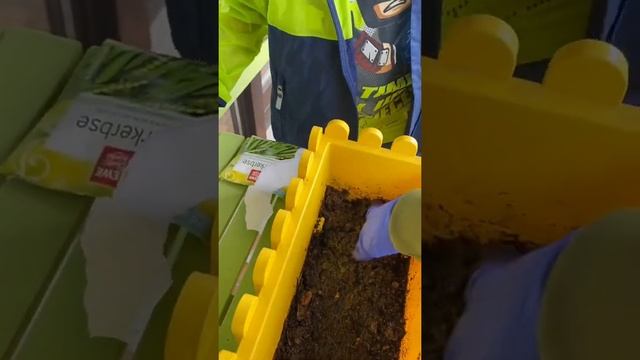 Как высадить горошек смотреть онлайн