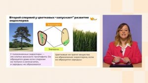 Размножение покрытосеменных | Биология, 7 класс