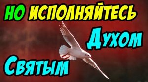 Но исполняйтесь Духом Святым - Василий Савич. Христианские проповеди