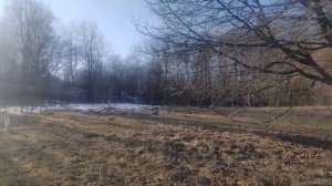 Обрезка плодовых деревьев.Плодовые почки на яблони.#я?