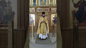 Сретение Владимирской иконы Богоматери. Ответственность богоизбранности.Проповедь о.Вячеслава.8.9.25