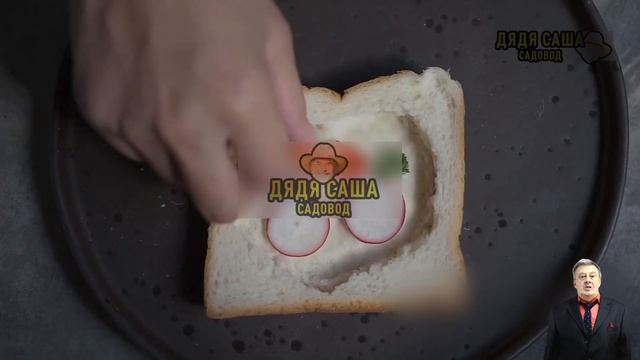 Как вырастить редис: советы и секреты смотреть онлайн