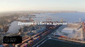 Недвижимость для пернатых: как превратить скворечник в золотую жилу