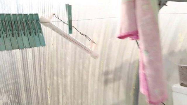 Кошка, которая живет в моей теплице смотреть онлайн