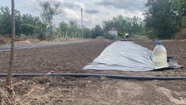 Как самому разложить чорную пленку на ваши грядки и по смотреть онлайн