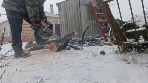 купил пилу чтобы спилить деревья во дворе